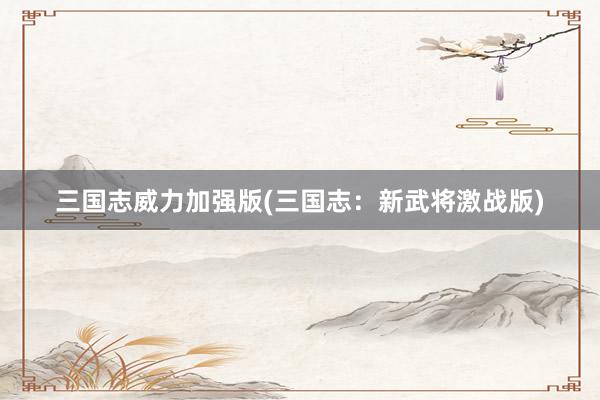 三国志威力加强版(三国志：新武将激战版)